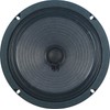 Jensen Speaker, Green, 8-Inch (C8R4)