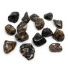 Turritella Agate Small Crystal Tumbled Stones - 5 Pc