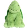 Aurora® Cuddly Turtle Stuffed Animal - Cozy Comfort - Endless