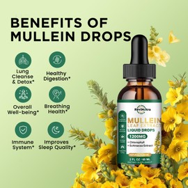 ReviNutra 2 Pack Mullein Drops for Lungs, 1200mg Mullein Leaf Extract Liquid Drops with Chlorophyll for Lung Cleanse & Detox, Support for Respiratory, Immune, Digestive System