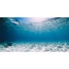 AWERT 36x18 inches Vinyl Undersea Ocean Floor Aquarium Background Tropical