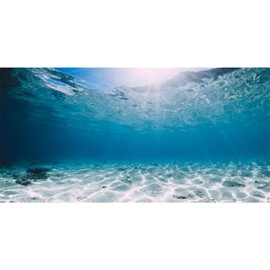 AWERT 36x18 inches Vinyl Undersea Ocean Floor Aquarium Background Tropical Tank Background