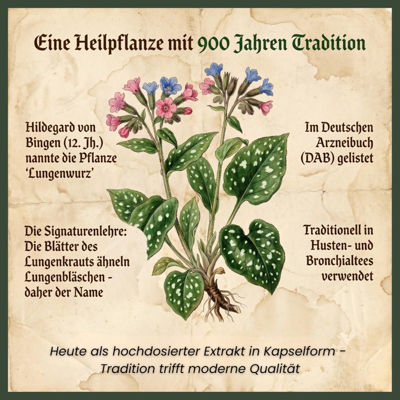 Supplenatura® Lungwort Capsules, Value Pack, German Production, Vegan, Laboratory Tested,