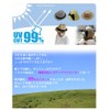 EdgeCity Men's Straw Hat, Foldable, Large Size, M