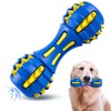 AUSCAT Durable Squeaky Dog Toys, Rubber Chew Toys for Dogs,