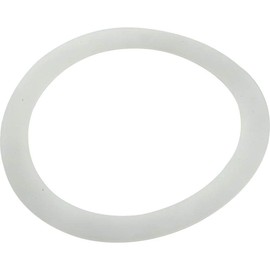 Pentair Adapter Washer, PacFab