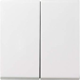 Gira System 55 / E2 Pure White Silk Matt