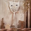 FREEBLOSS Macrame Owl Kit for Beginners Macrame Wall Hanging Kit
