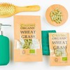 Organic Wheatgrass HPMC Capsules Nutrient Immune Rich Health Fitness Antioxidant