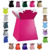 Glossy Vibrant Bouquet, Flower Box/Vase - Transportation Display, Presentation Boxes