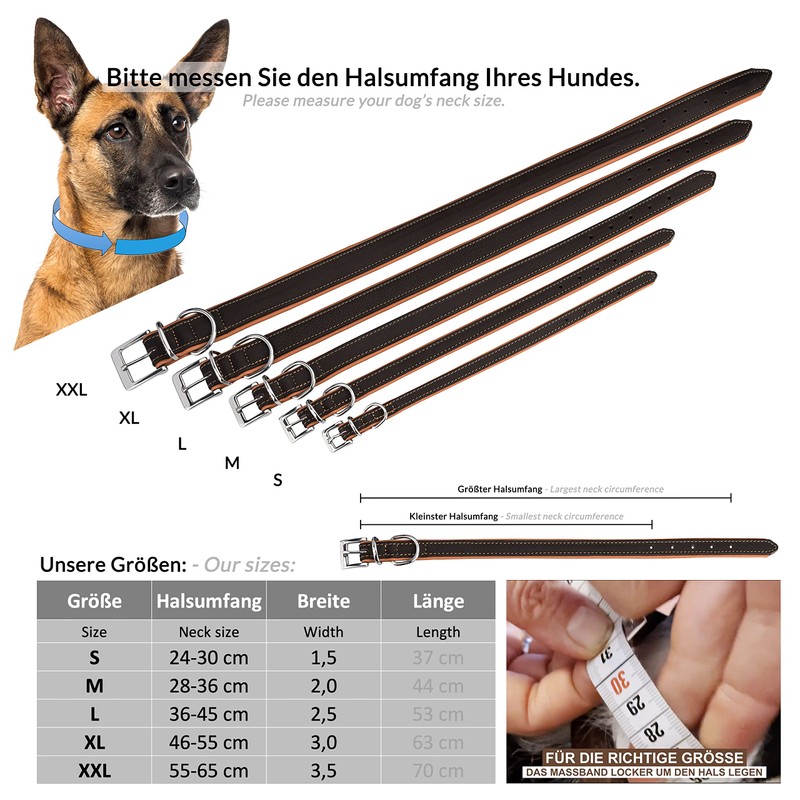 Schnüffelfreunde Fun Line Leather Dog Collar for Large, Medium and