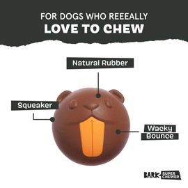 Barkbox Ricochet The Nutria Dog Toy – All-Rubber Design with Fun Squeak, Perfect for Enthusiastic Chewers and Durable Playtime