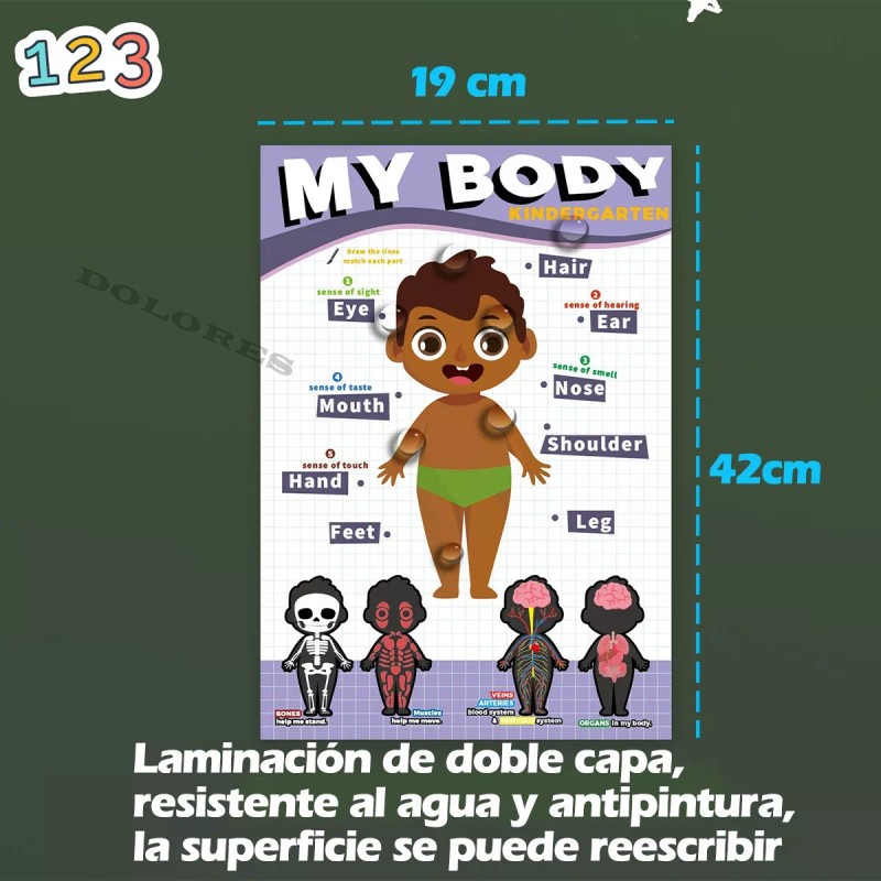 Dolores Set Juguetes Educativos Niños Dibujo Aprendizaje Montessori