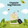 Clipper Organic Fennel Infusion 20 Teabags (Pack of 6, Total