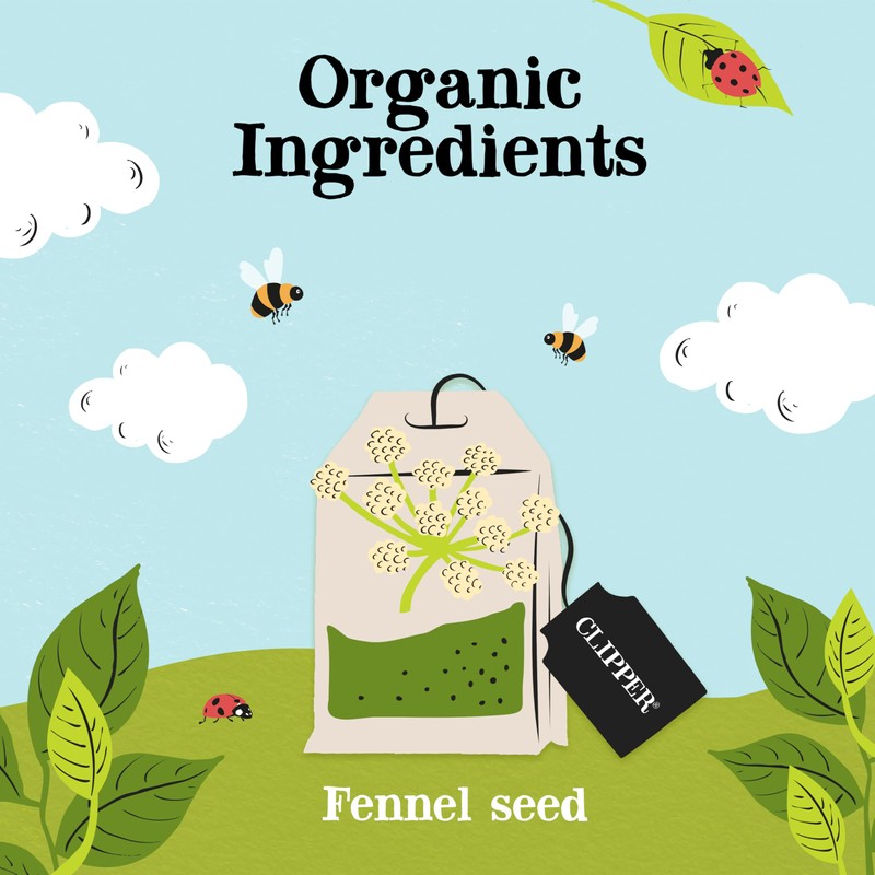Clipper Organic Fennel Infusion 20 Teabags (Pack of 6, Total