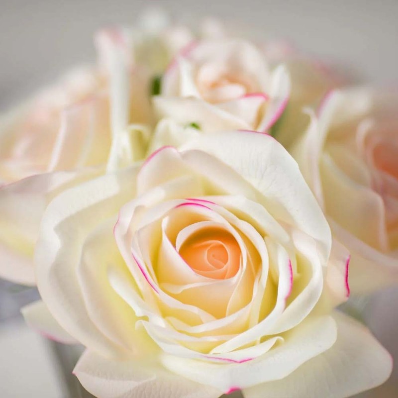 Cote Noire-Five Roses in Black and Pink Blush