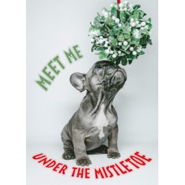 Meet Me Under The Mistletoe Christmas Greeting Card