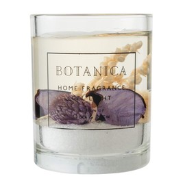 BOTANICA ジェルライト ヴァイオレット(カシス CASSIS) VIOLET GEL LIGHT ボタニカ old&new オールドアンドニュー