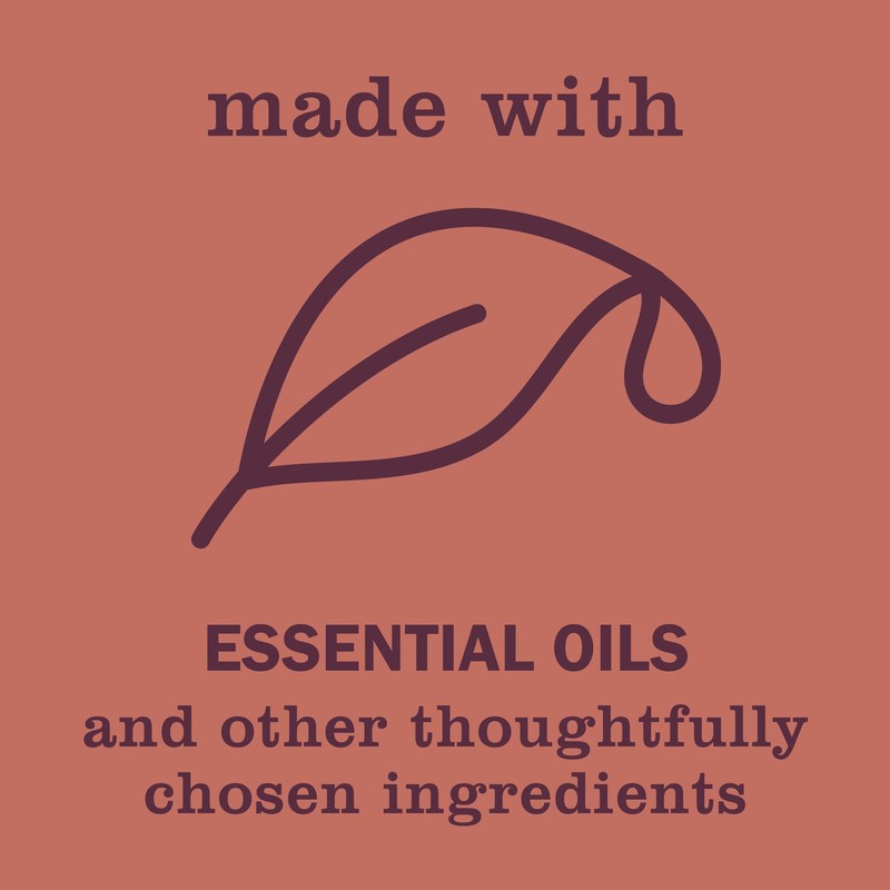 MRS. MEYER'S CLEAN DAY Liquid Hand Soap, Fall Leaves Scent,