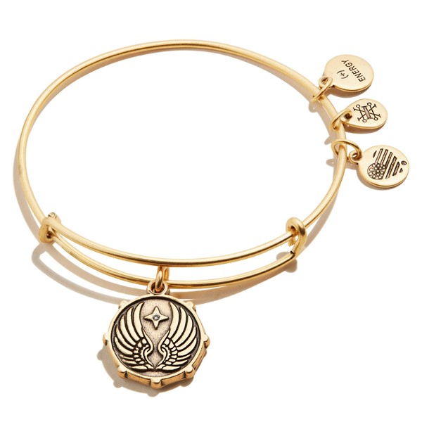 Alex and Ani Path of Symbols Expandable Bangle for Women, Guardian Angel Wings Charm, Rafaelian Gold Finish, 2 to 3.5 in