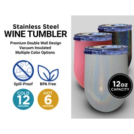 R and R Imports Palm Beach Aruba Souvenir 12 oz Coral Laser Etched Insulated Wine Stainless Steel Turtle Design