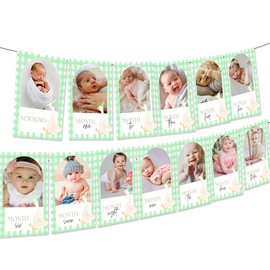 Green One Silly Goose Photo Banner Silly Goose 1st Birthday Decoration Goose Themed Photo Picture Banner Girl First Birthday Party Supplies Favors