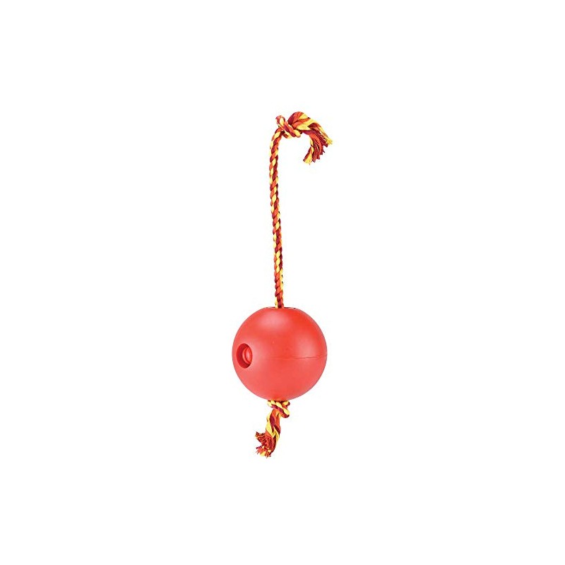 Fancy Pets FL9301 Juguete Bola Flotante