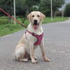 Suredoo Adjustable Dog Harness with Front Clip, No Pull Soft