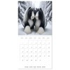 The majestic beauty of Gypsy Vanner (Wall Calendar 2025 12