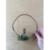 Unbranded Botanical Butterfly Crystal Mini Wreaths