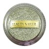 BEAUTY NAILER Galaxy Powder GP-3 Classic Silver 3g