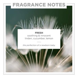 Zents Eau de Parfum (Fresh) for Women & Men | Long-Lasting Clean Fragrance with Linden Blossom, Cucumber & Lemon | Crisp & Refreshing Scent | 1.69 oz