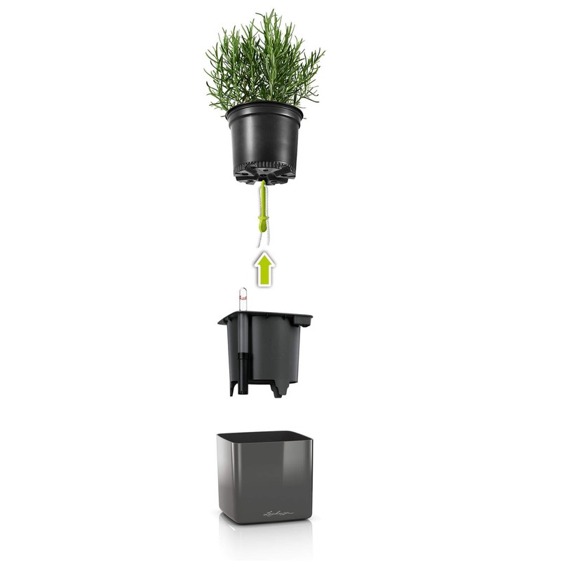 Lechuza Cube - Glossy, High-Quality Plant Cube with Stick Irrigation