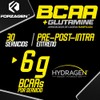 Forzagen Aminocidos BCAA Glutamine 8 g de BCAA 211 2