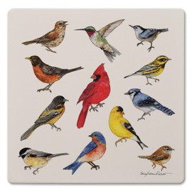 Bird Study Decorative Heat Tolerant Stone Trivet with Non-Skid Cork Backing 8” Square Artistic, Durable, Easily Wipes Clean