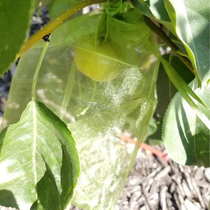 60 Pcs 5.9''×7.8'' Drawstring Fruit Netting Bags, Reusable Garden Netting