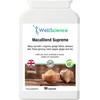 WellScience MacaBlend Supreme - Enhance Vitality, Fertility & Reproductive Health
