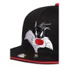 Difuzed SB373603SPC Sylvester The Cat Accessory, Black, One Size