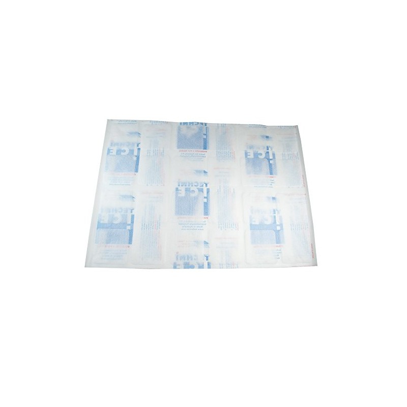 Techni Ice 2ply Slightly Reusable Ice & Heat Packs (1