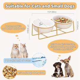 Small Double Elevated Dog Bowls - Raised Dog Bowl - Ceramic Dog Cat Bowl Set for Food and Water - Pet Comfort Feeding Bowls with Gold Iron Stand