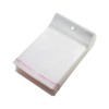 FSSTUD 100 sacchetti di plastica trasparente con foro per appenderlo,