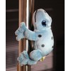 takeoff magnet cobalt herd frog