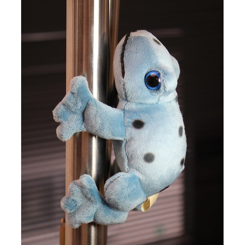 takeoff magnet cobalt herd frog