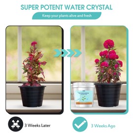 5LB Water Storing Crystals for Plants with Spoon, Water Gel Solves Plant Over-Watering and Drought Problems, Keeps The Soil Moist, Small Water Storing Polymer Crystals for Plants Candle - by Oycevila