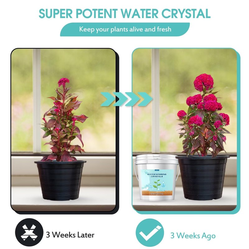 5LB Water Storing Crystals for Plants with Spoon, Water Gel