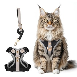 Muecleao Escape Proof Cat Harness and Leash Set, Premium Microfiber Leather Trim, Adjustable Reflective Vest Harness for Cats, Breathable No-Pull Kitten Harness with Soft Mesh (Black, L)