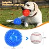 Squeaky Spike Ball for Dogs, 3.5 inch Durable Rubber Chew