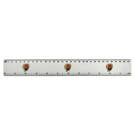 'Ladybird Love Bug' 30cm (12 Inch) White Plastic Ruler (RL00095250)