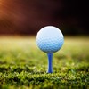 TOYANDONA 40Pcs Golf Tees, Double Deck 4 Sizes Golf Step
