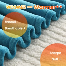 WOOMER Heated Blanket, Queen Size 84"x 90" Soft Flannel Fast Heating Blanket with Multi-Color Option, 10 Heating Levels & 0.5-12H Auto Off, Over-Heat Protection